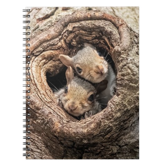 Kutest Baby Animals | Twee jonge eekhoorns Notitieboek (Voorkant)