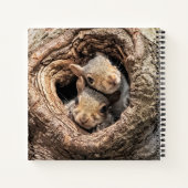 Kutest Baby Animals | Twee jonge eekhoorns Notitieboek (Achterkant)