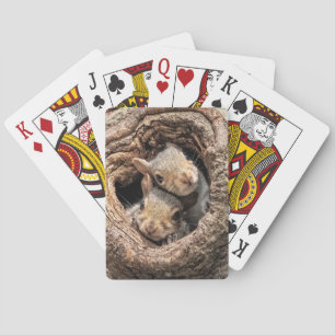 Kutest Baby Animals Twee jonge eekhoorns Pokerkaarten