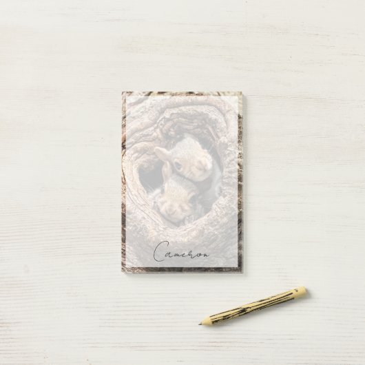 Kutest Baby Animals | Twee jonge eekhoorns Post-it® Notes (Op bureau)