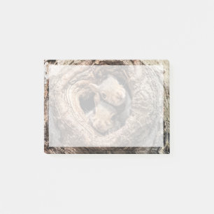 Kutest Baby Animals   Twee jonge eekhoorns Post-it® Notes