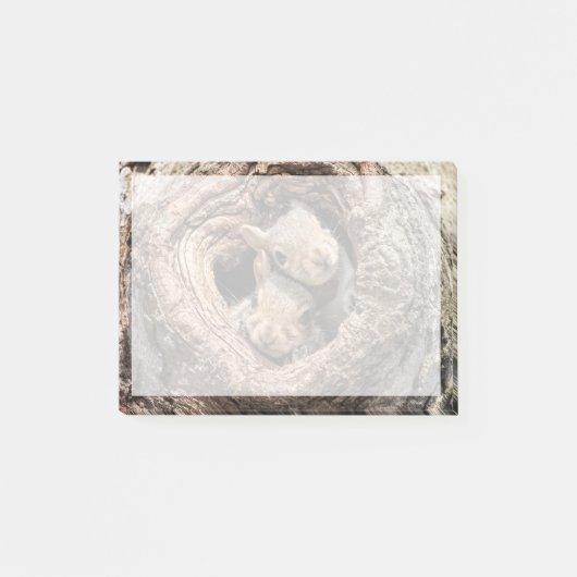 Kutest Baby Animals | Twee jonge eekhoorns Post-it® Notes (Voorkant)