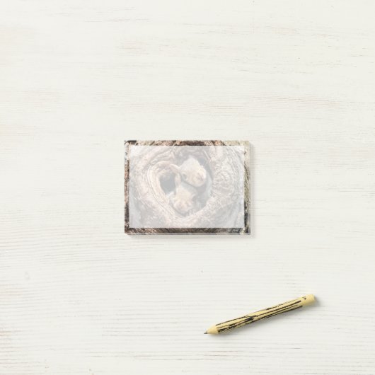 Kutest Baby Animals | Twee jonge eekhoorns Post-it® Notes (Op bureau)