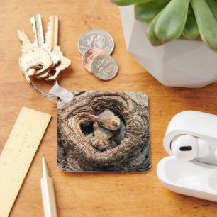 Kutest Baby Animals   Twee jonge eekhoorns Sleutelhanger