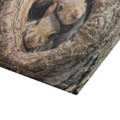 Kutest Baby Animals | Twee jonge eekhoorns Snijplank (Hoek)