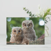 Kutest Baby Animals | Twee jonge eigenaars Bedankkaart (Staand voorkant)