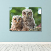 Kutest Baby Animals | Twee jonge eigenaars Canvas Afdruk (Insitu (Houten vloer))