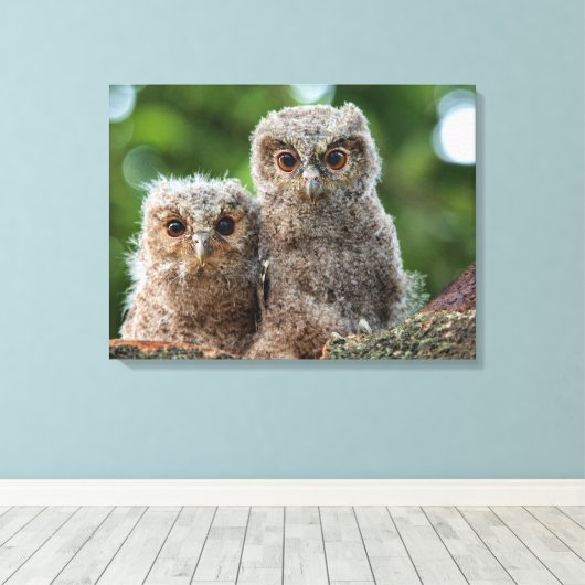 Kutest Baby Animals | Twee jonge eigenaars Canvas Afdruk (Insitu (Houten vloer))