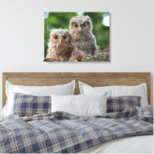Kutest Baby Animals | Twee jonge eigenaars Canvas Afdruk (Insitu (Slaapkamer))
