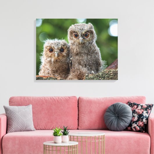 Kutest Baby Animals | Twee jonge eigenaars Canvas Afdruk (Insitu (Woonkamer))
