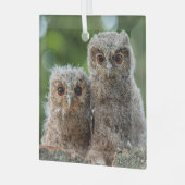 Kutest Baby Animals | Twee jonge eigenaars Glas Ornament (Voorkant links)