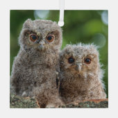 Kutest Baby Animals | Twee jonge eigenaars Glas Ornament (Achterkant)