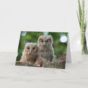 Kutest Baby Animals Twee jonge eigenaars Kaart