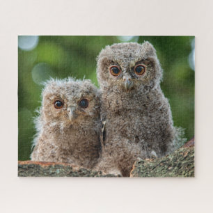 Kutest Baby Animals Twee jonge eigenaars Legpuzzel