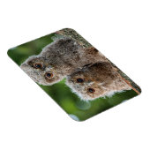 Kutest Baby Animals | Twee jonge eigenaars Magneet (Rechterzijde)
