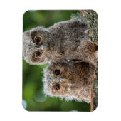 Kutest Baby Animals | Twee jonge eigenaars Magneet (Verticaal)