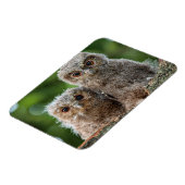 Kutest Baby Animals | Twee jonge eigenaars Magneet (Linkerzijde)