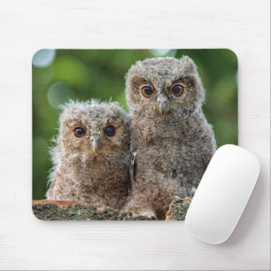 Kutest Baby Animals Twee jonge eigenaars Muismat