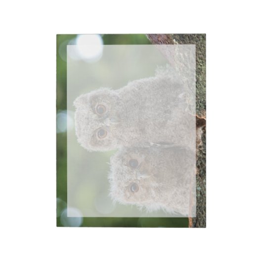 Kutest Baby Animals | Twee jonge eigenaars Notitieblok (Linkerzijde)