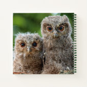 Kutest Baby Animals | Twee jonge eigenaars Notitieboek (Achterkant)