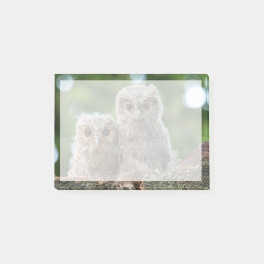 Kutest Baby Animals | Twee jonge eigenaars Post-it® Notes (Voorkant)