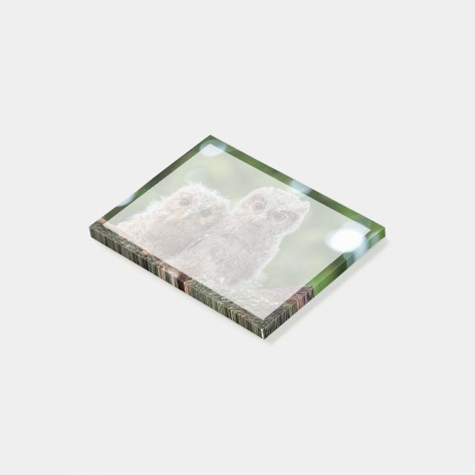 Kutest Baby Animals | Twee jonge eigenaars Post-it® Notes (Schuin)