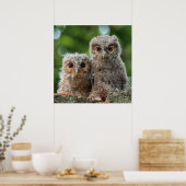 Kutest Baby Animals | Twee jonge eigenaars Poster (Keuken)