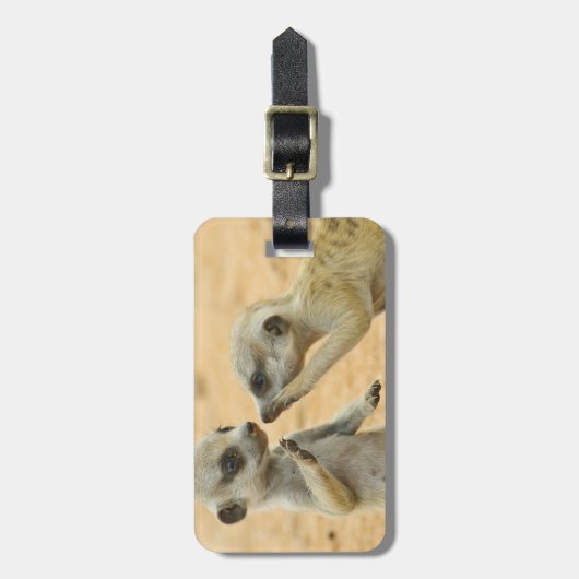 Kutest Baby Animals | Twee jonge Meerkats Bagagelabel (Voorkant verticaal)
