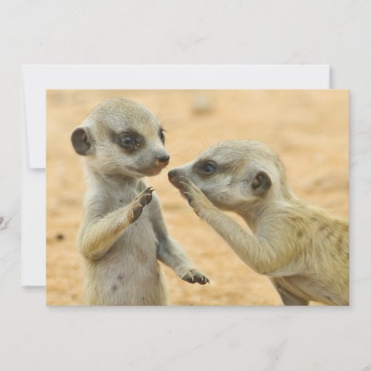 Kutest Baby Animals | Twee jonge Meerkats Bedankkaart (Voorkant)