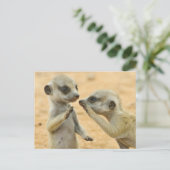 Kutest Baby Animals | Twee jonge Meerkats Briefkaart (Staand voorkant)