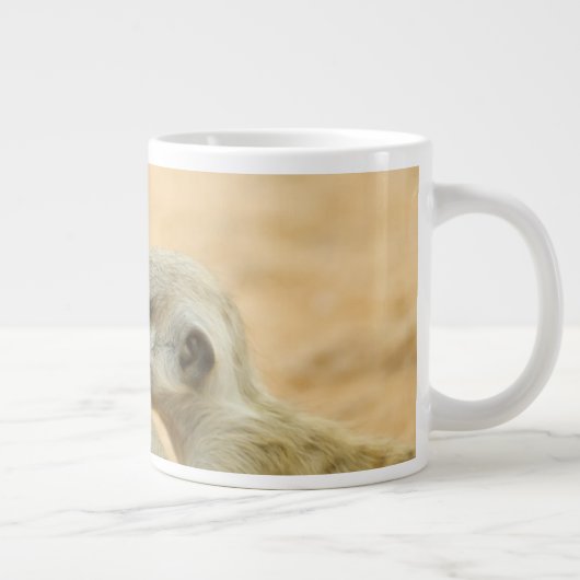 Kutest Baby Animals | Twee jonge Meerkats Grote Koffiekop (Rechts)