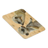 Kutest Baby Animals | Twee jonge Meerkats Magneet (Rechterzijde)