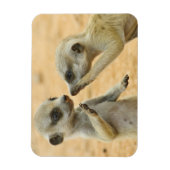 Kutest Baby Animals | Twee jonge Meerkats Magneet (Verticaal)