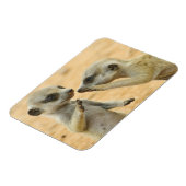Kutest Baby Animals | Twee jonge Meerkats Magneet (Linkerzijde)
