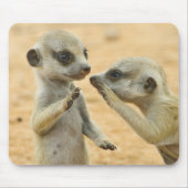 Kutest Baby Animals | Twee jonge Meerkats Muismat (Voorkant)