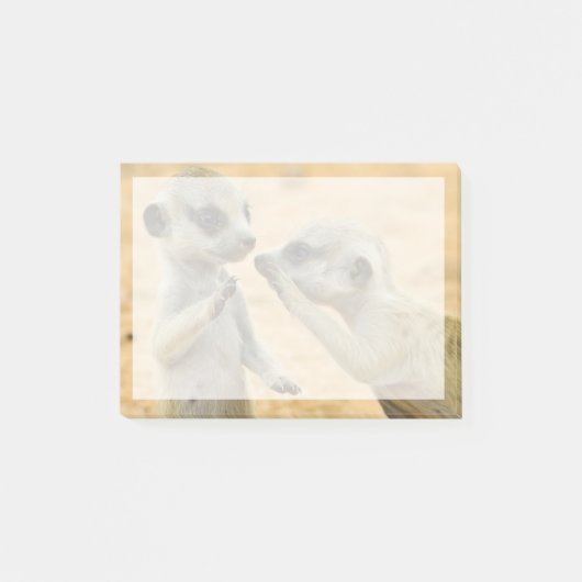 Kutest Baby Animals | Twee jonge Meerkats Post-it® Notes (Voorkant)