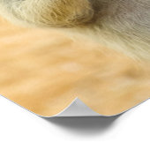 Kutest Baby Animals | Twee jonge Meerkats Poster (Hoek)