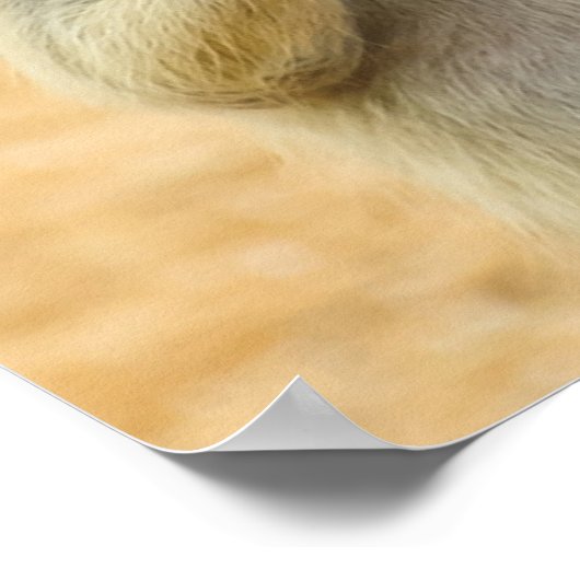 Kutest Baby Animals | Twee jonge Meerkats Poster (Hoek)