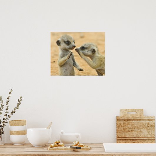 Kutest Baby Animals | Twee jonge Meerkats Poster (Keuken)