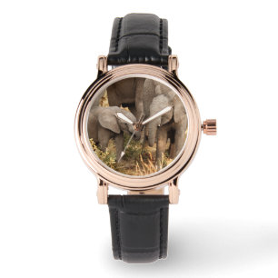 Kutest Baby Animals   Twee jonge olifanten Horloge