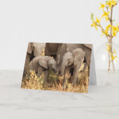 Kutest Baby Animals | Twee jonge olifanten Kaart (Gele Bloem)