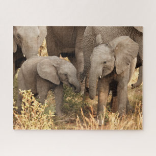 Kutest Baby Animals Twee jonge olifanten Legpuzzel