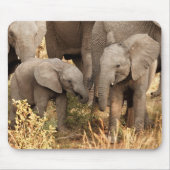 Kutest Baby Animals | Twee jonge olifanten Muismat (Voorkant)