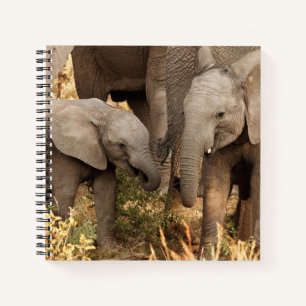 Kutest Baby Animals   Twee jonge olifanten Notitieboek