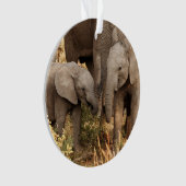 Kutest Baby Animals | Twee jonge olifanten Ornament (voorkant)