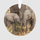 Kutest Baby Animals | Twee jonge olifanten Ornament (voorkant)