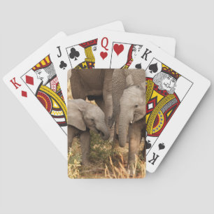Kutest Baby Animals   Twee jonge olifanten Pokerkaarten