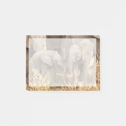 Kutest Baby Animals | Twee jonge olifanten Post-it® Notes (Voorkant)