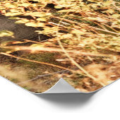 Kutest Baby Animals | Twee jonge olifanten Poster (Hoek)