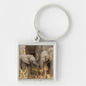 Kutest Baby Animals | Twee jonge olifanten Sleutelhanger (Voorkant)